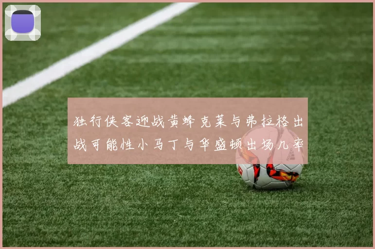 独行侠客迎战黄蜂克莱与弗拉格出战可能性小马丁与华盛顿出场几率高